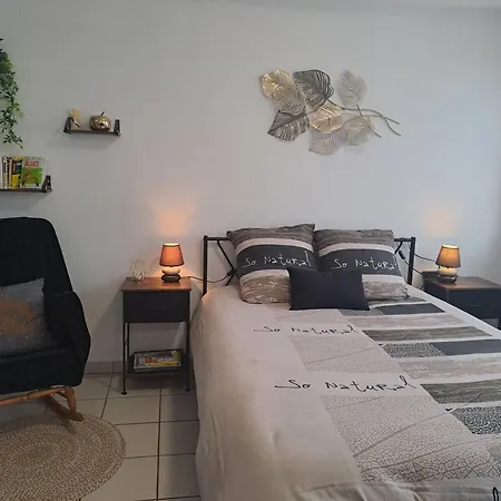 Meuble 3 Etoiles En Centre-ville Niederbronn-les-Bains