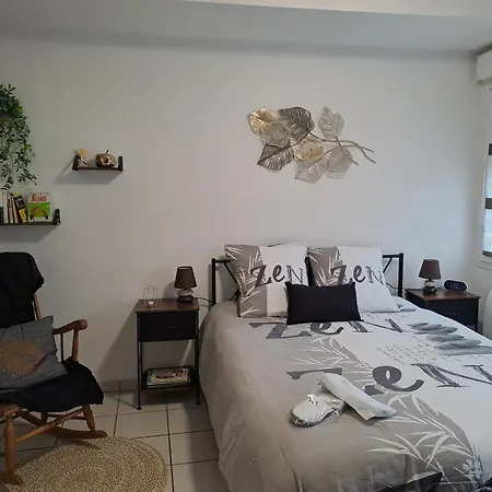 Meuble 3 Etoiles En Centre-ville Apartment Niederbronn-les-Bains