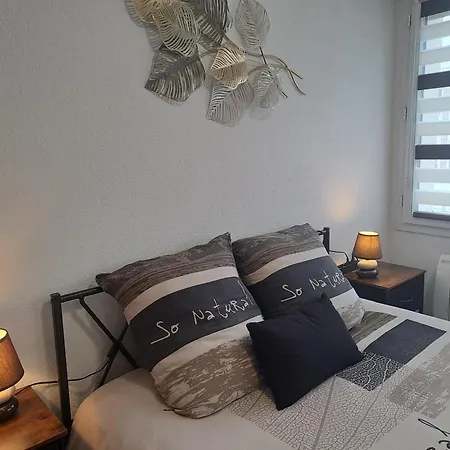 Meuble 3 Etoiles En Centre-ville *