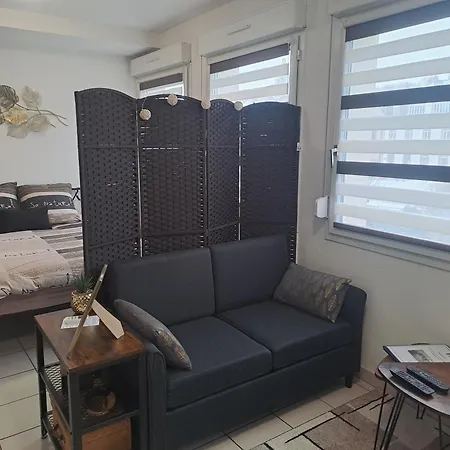 Meuble 3 Etoiles En Centre-ville Apartment *