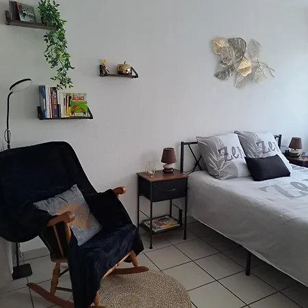 Meuble 3 Etoiles En Centre-ville Apartment Niederbronn-les-Bains