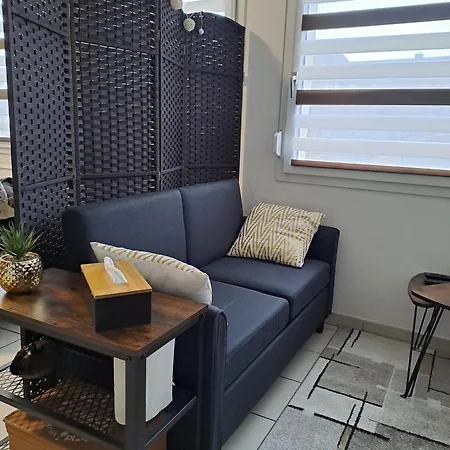 Meuble 3 Etoiles En Centre-ville * Niederbronn-les-Bains