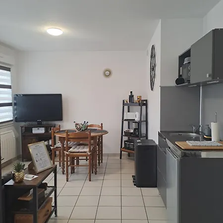 Apartment Meuble 3 Etoiles En Centre-ville Niederbronn-les-Bains