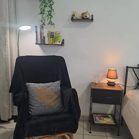Meuble 3 Etoiles En Centre-ville Apartment Niederbronn-les-Bains