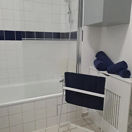 Apartment Meuble 3 Etoiles En Centre-ville Niederbronn-les-Bains
