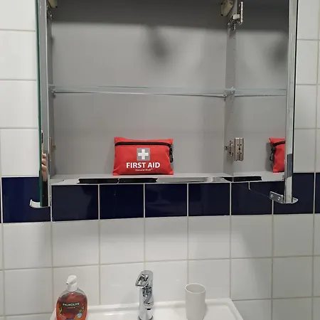 Meuble 3 Etoiles En Centre-ville Niederbronn-les-Bains