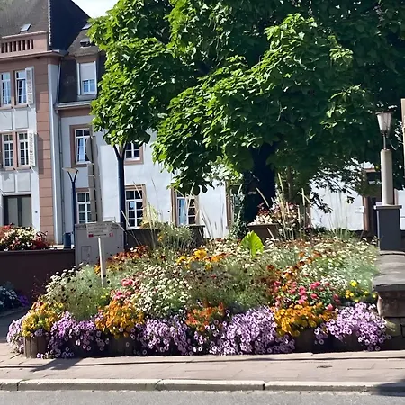 Meuble 3 Etoiles En Centre-ville *
