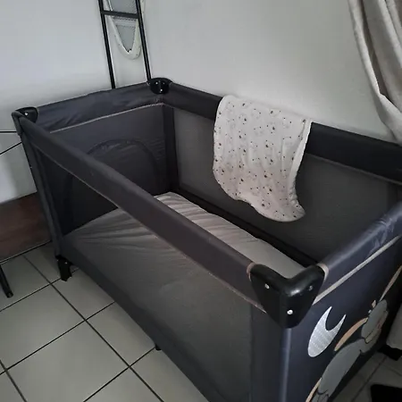 Meuble 3 Etoiles En Centre-ville * Niederbronn-les-Bains