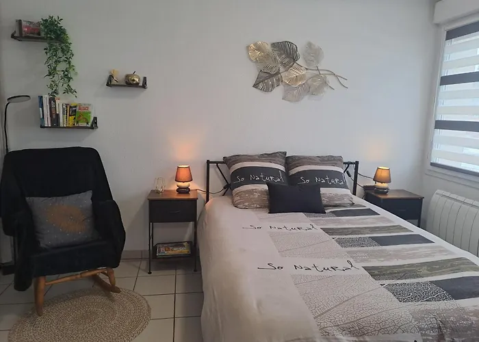 Meuble 3 Etoiles En Centre-ville Niederbronn-les-Bains