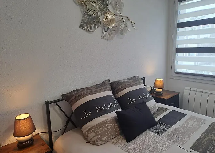 Meuble 3 Etoiles En Centre-ville *