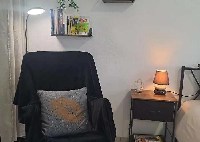 Apartment Meuble 3 Etoiles En Centre-ville