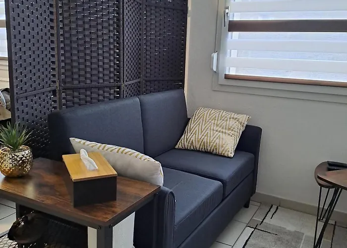 Meuble 3 Etoiles En Centre-ville *