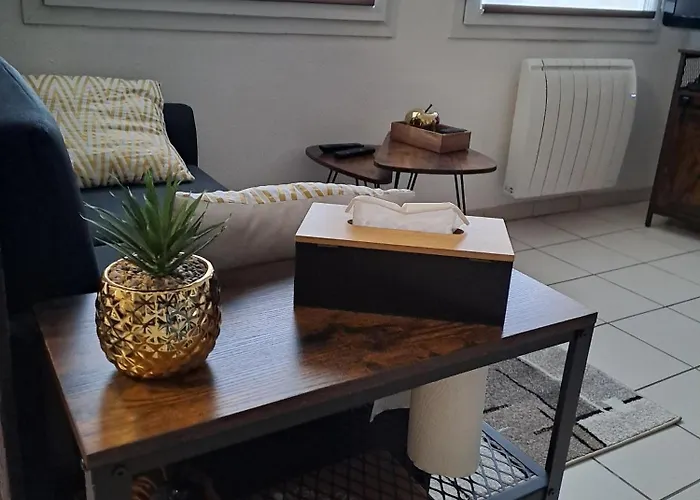 Apartment Meuble 3 Etoiles En Centre-ville *