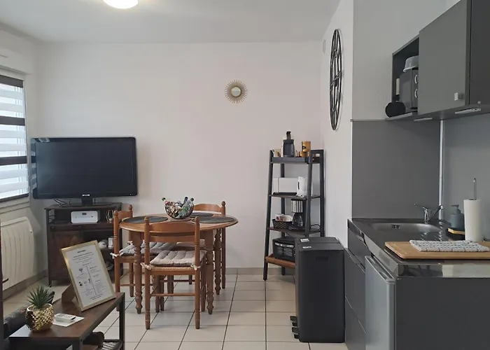 Apartment Meuble 3 Etoiles En Centre-ville Niederbronn-les-Bains