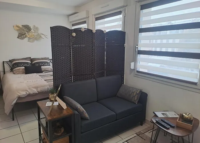 Meuble 3 Etoiles En Centre-ville Apartment *