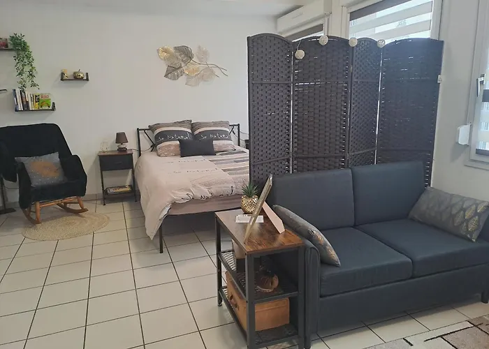 Meuble 3 Etoiles En Centre-ville *