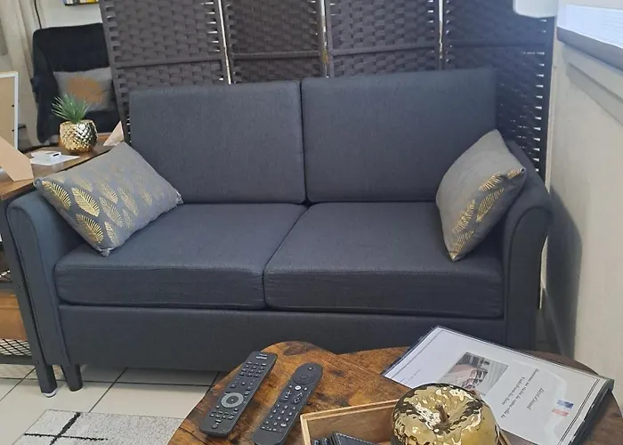 Meuble 3 Etoiles En Centre-ville Apartment Niederbronn-les-Bains