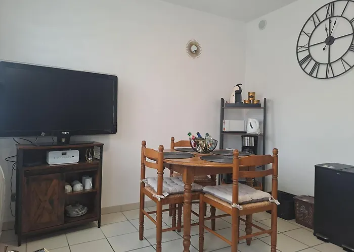 Meuble 3 Etoiles En Centre-ville Apartment *