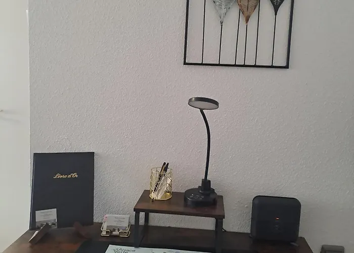 Meuble 3 Etoiles En Centre-ville *