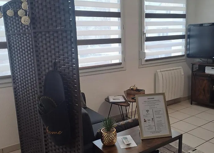 Apartment Meuble 3 Etoiles En Centre-ville *