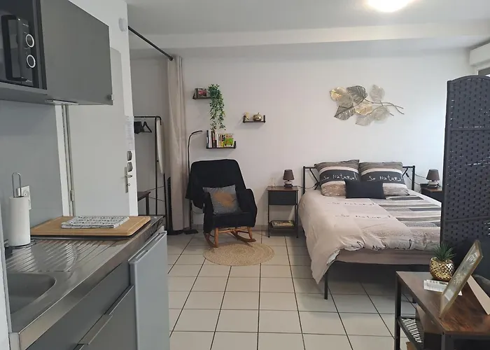 Meuble 3 Etoiles En Centre-ville * Niederbronn-les-Bains