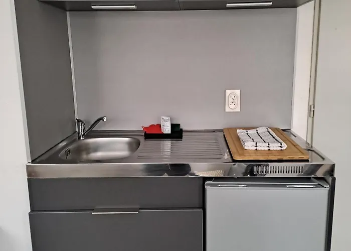 Meuble 3 Etoiles En Centre-ville * Niederbronn-les-Bains