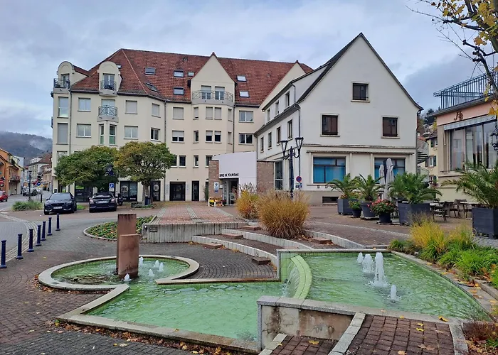 Meuble 3 Etoiles En Centre-ville Apartment Niederbronn-les-Bains