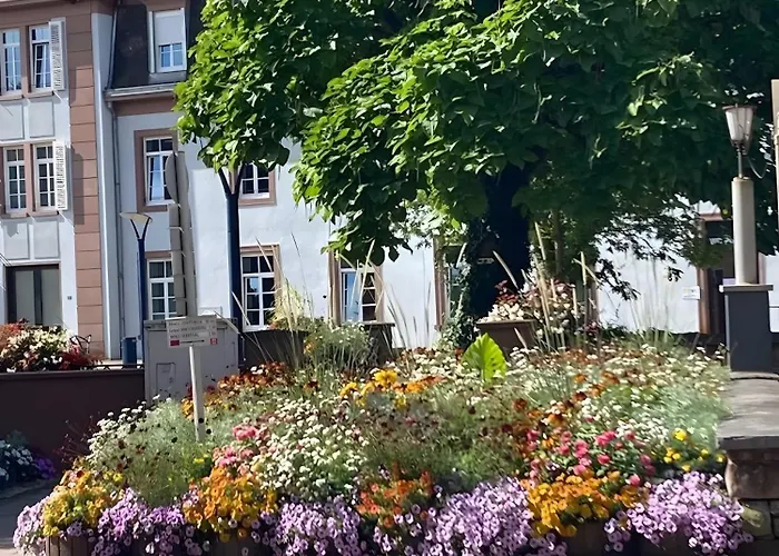 Apartment Meuble 3 Etoiles En Centre-ville *