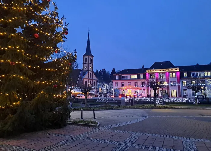 Meuble 3 Etoiles En Centre-ville * Niederbronn-les-Bains