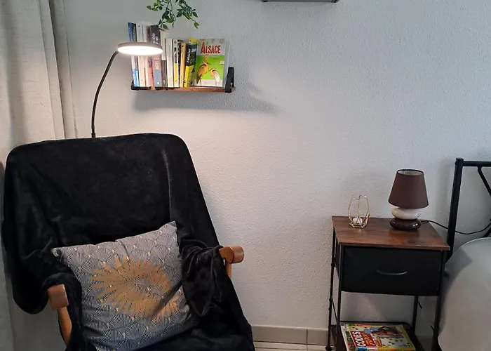 Meuble 3 Etoiles En Centre-ville *