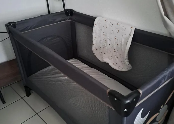 Meuble 3 Etoiles En Centre-ville Apartment Niederbronn-les-Bains